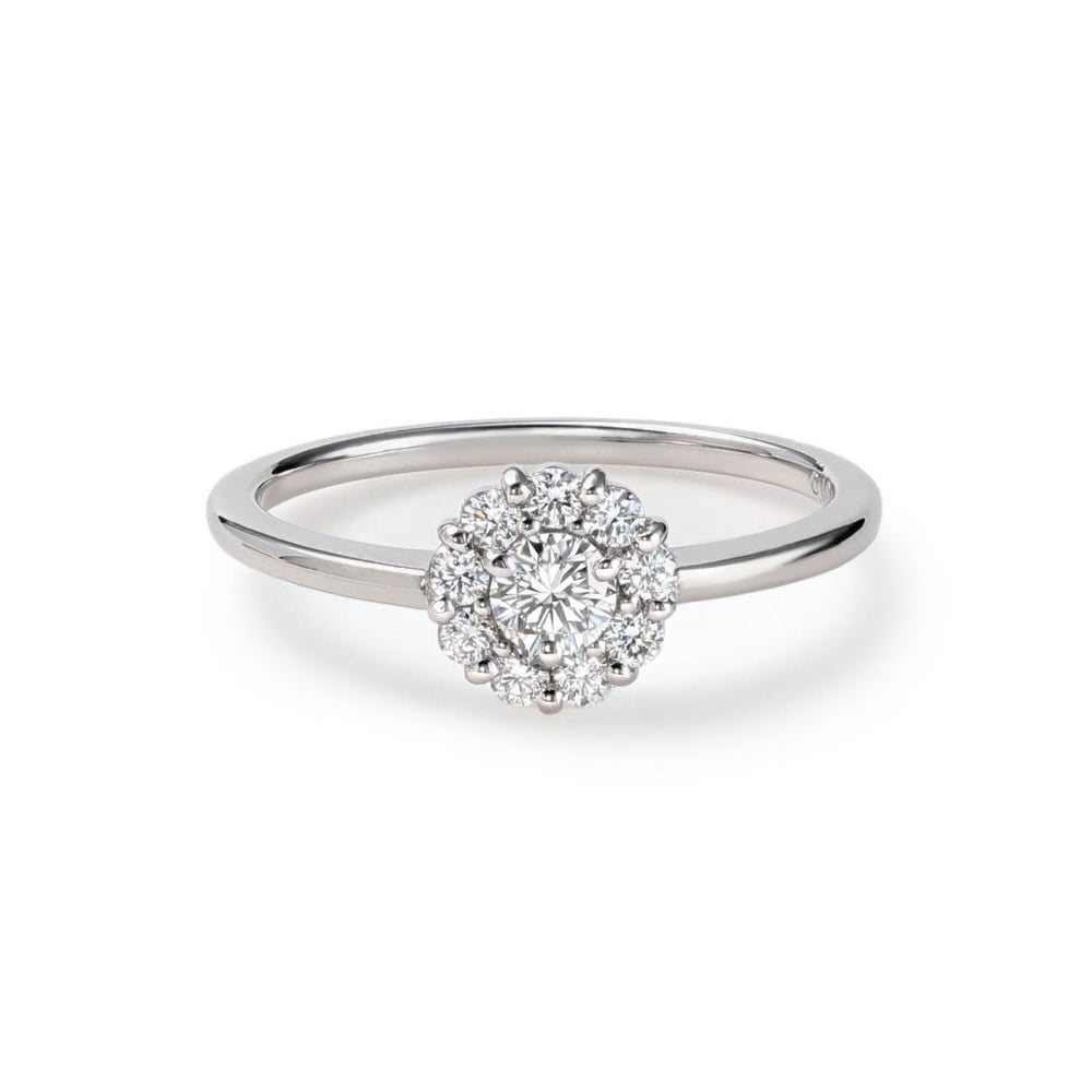 Ring(M/PT) Ring(M/PT)