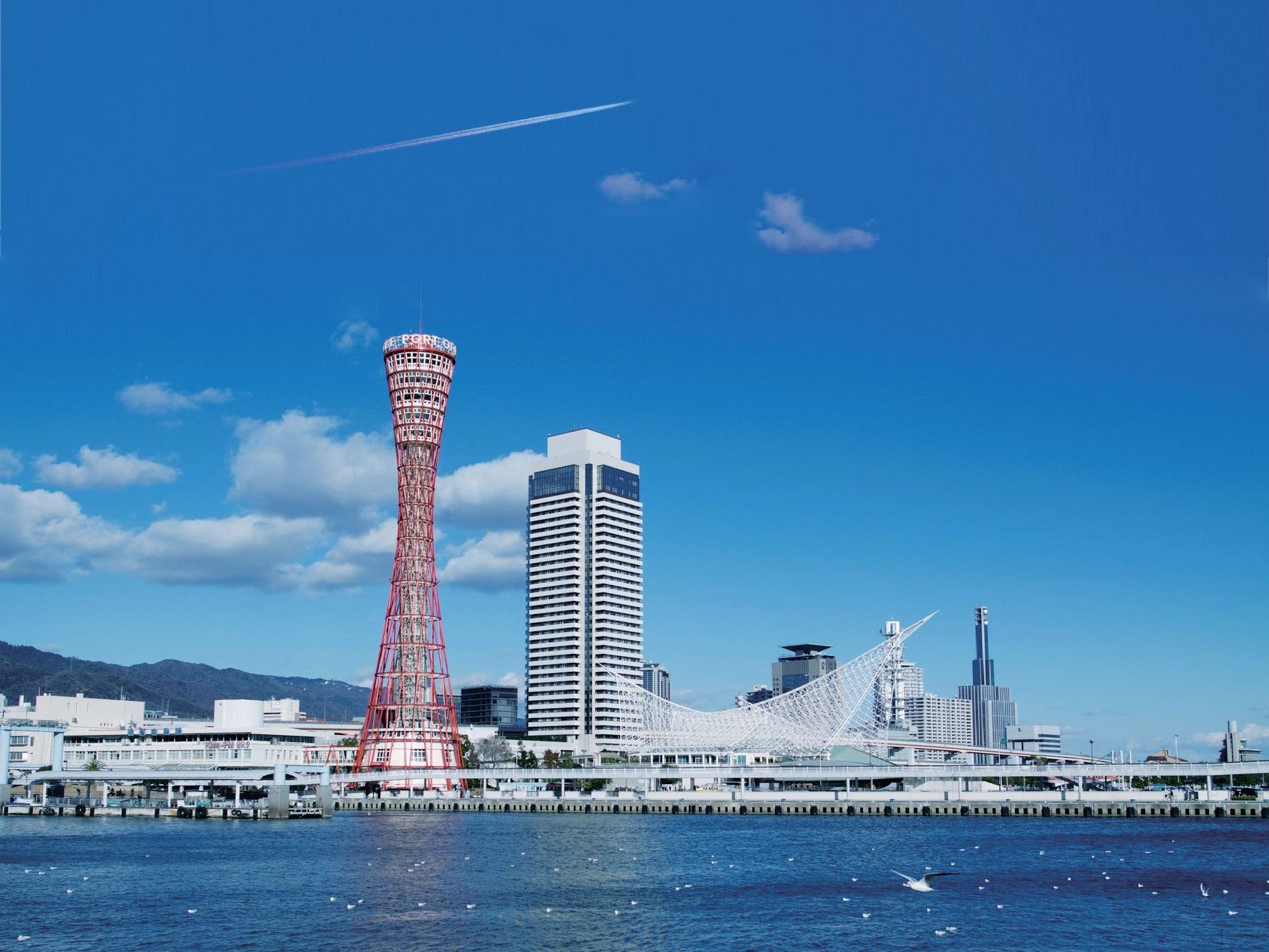 『CONTRAIL FAIR –年に一度のブライダルフェア2023秋-』 『CONTRAIL FAIR –年に一度のブライダルフェア2023秋-』