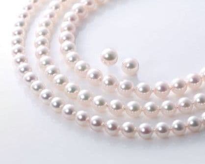 フェア特典③ フェア特典③