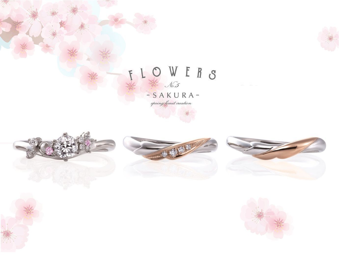 ‘SAKURA’ ‘SAKURA’